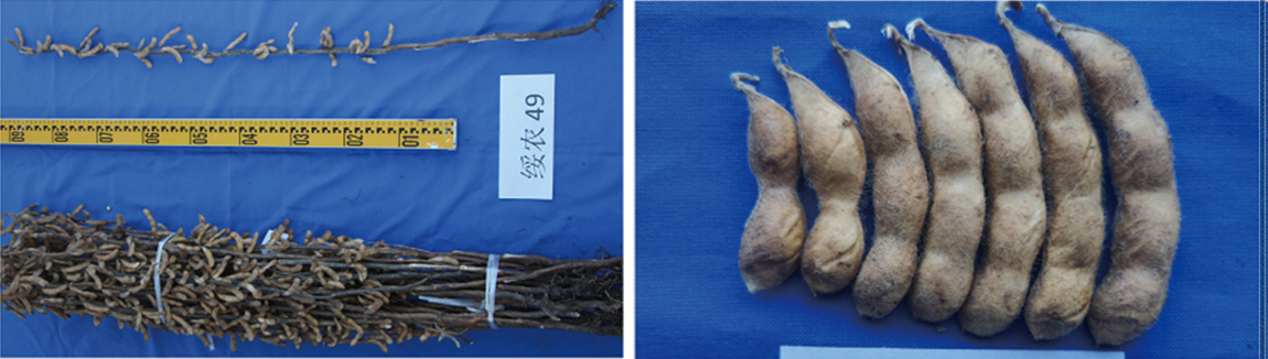 1677830379532804.jpg 1.jpg